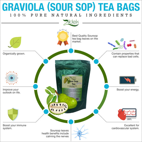 Graviola (Sour Sop) Tea bags